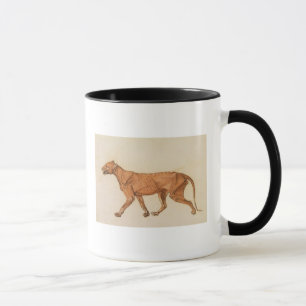 George Stubbs Tiger, Lateral View, Skin Removed, Mug