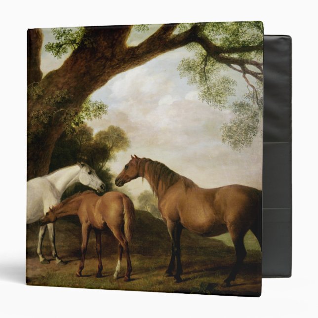 George Stubbs | Two Shafto Mares and a Foal, 1774 3 Ring Binder (Front/Inside)