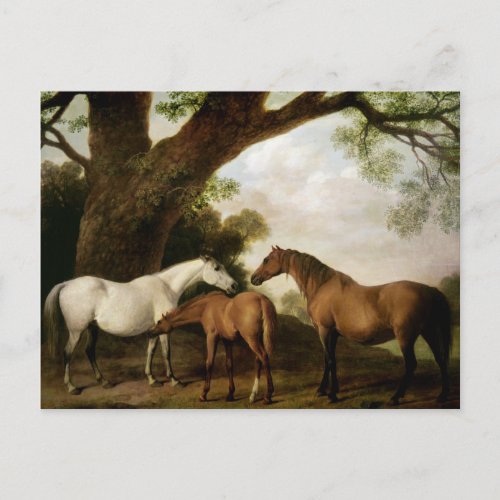 George Stubbs  Two Shafto Mares and a Foal 1774 Postcard