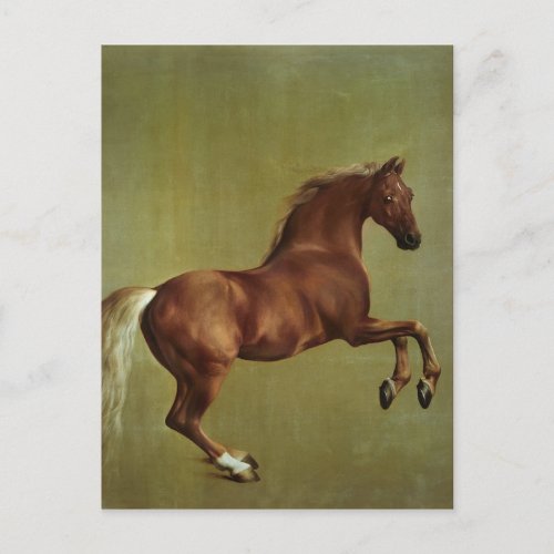 George Stubbs  Whistlejacket 1762 Postcard