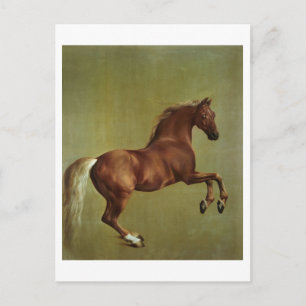 George Stubbs   Whistlejacket, 1762 Postcard