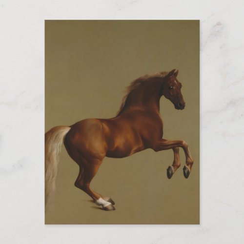 George Stubbs_ Whistlejacket Postcard