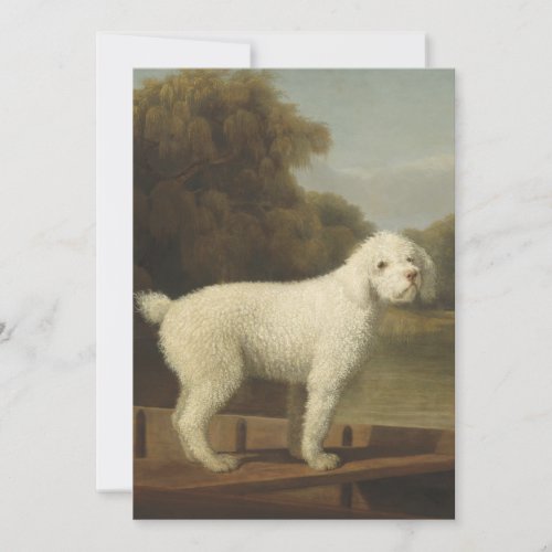 George Stubbs _ White Poodle in a Punt Invitation