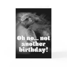 George the cat birthday card
