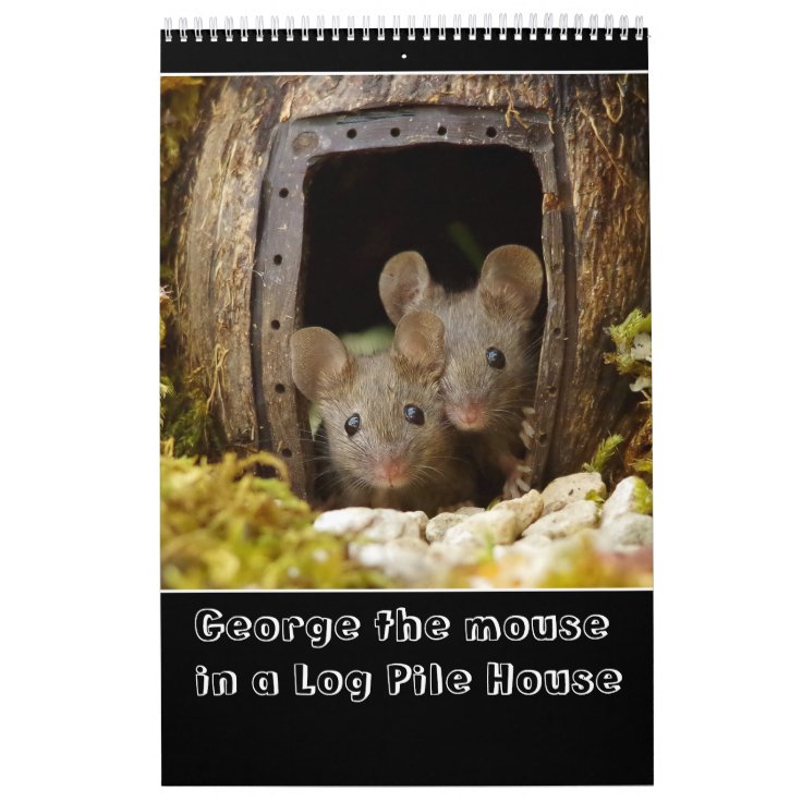 the mouse in a log pile house 2022 new calendar Zazzle
