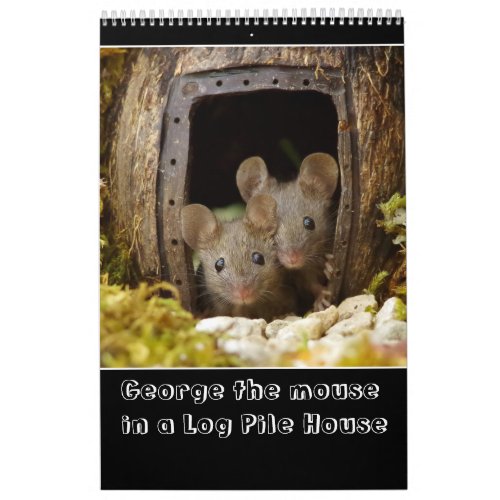 George the mouse in a log pile house 2024 new calendar
