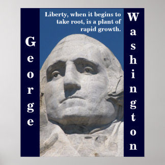 George Washington Liberty Poster
