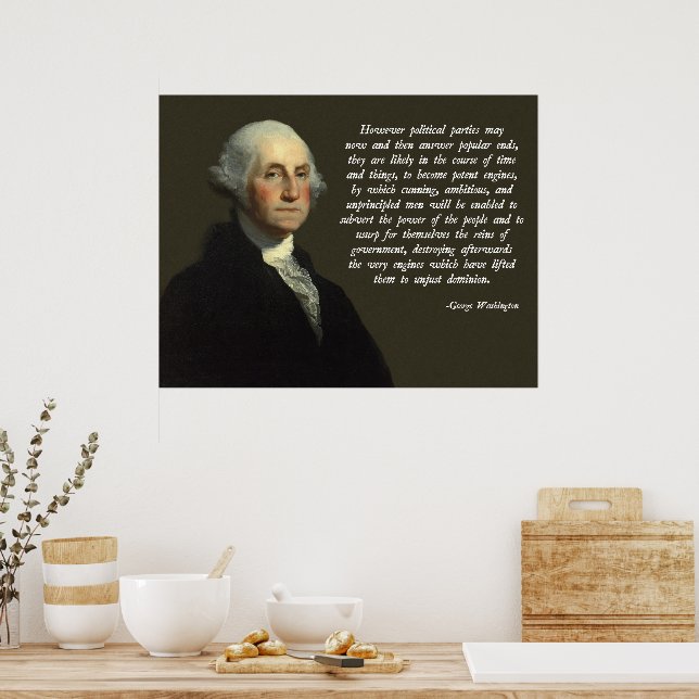 George Washington Political Parties Quote Poster | Zazzle