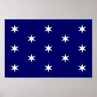 George Washington's Personal Flag Poster