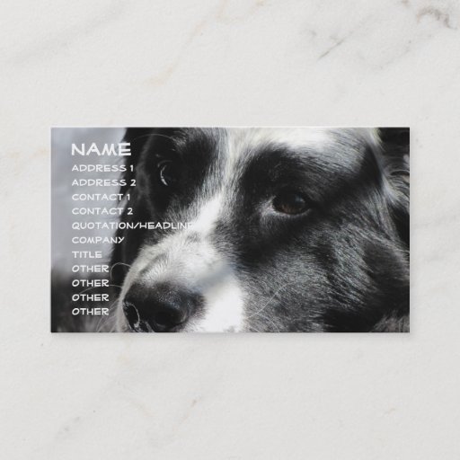 Customizable Georgia April 5 2009 012, Name, Address 1, Addr... Business Card Templates