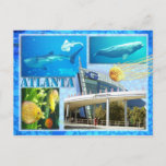 Georgia Aquarium, Atlanta, Georgia Postcard at Zazzle