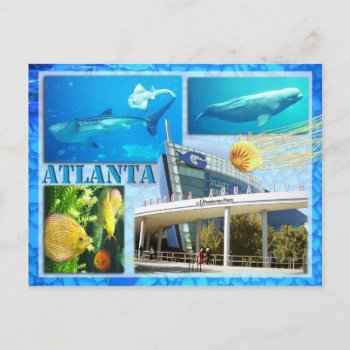Georgia Aquarium  Atlanta  Georgia Postcard by HTMimages at Zazzle