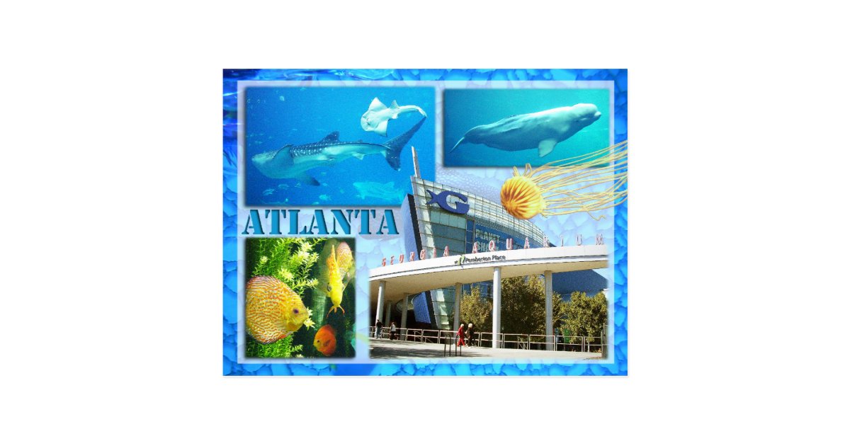 Georgia Aquarium Atlanta Georgia Postcard Zazzle Com