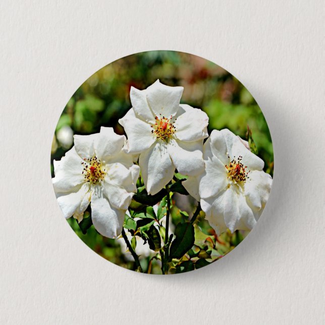 Georgia Cherokee Rose 2 Button (Front)