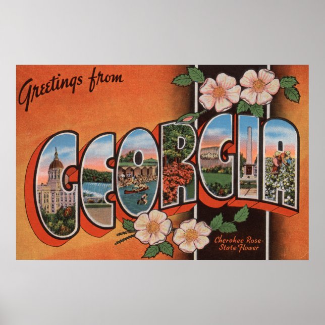 Georgia (Cherokee Rose) - Large Letter Scenes Poster (Front)
