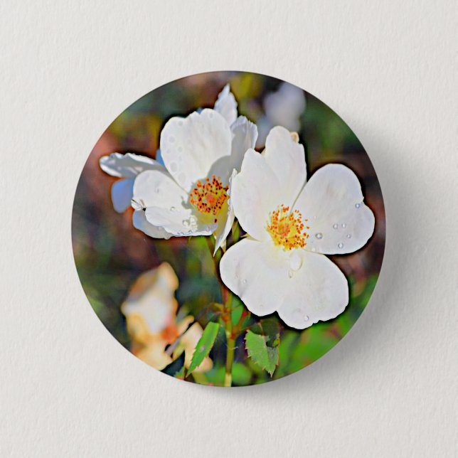 Georgia Cherokee Rose Pinback Button (Front)