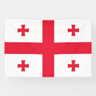 Georgia Flag Banner