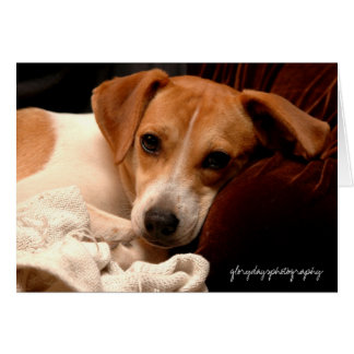 Georgia, glorydaysphotography cards