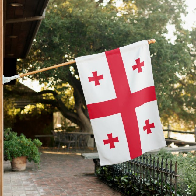 Georgia House Flag (In SItu)