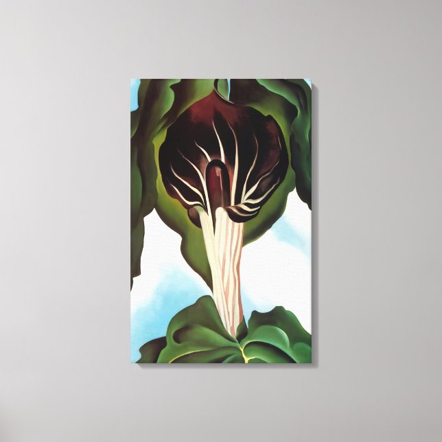 Georgia O'Keeffe - Jack-in-the-Pulpit III Canvas Print (Front)