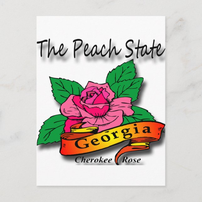 Georgia Peach State Cherokee Rose Postcard (Front)