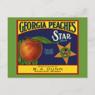 Georgia Peaches Postcard