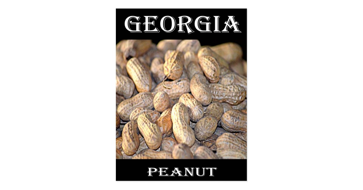 Peanut Postcard