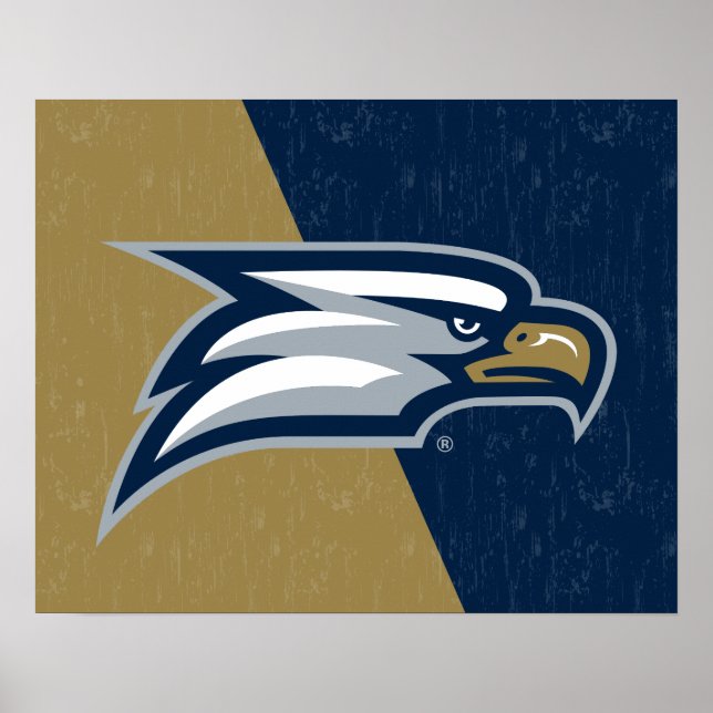 Georgia Southern University Color Block Distressed Poster (Front)