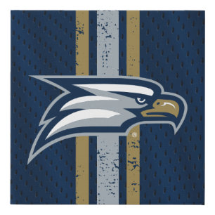 Georgia Southern University Jersey Faux Canvas Print
