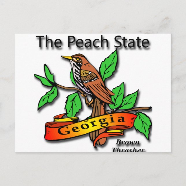 Georgia The Peach State Brown Thrasher Postcard (Front)