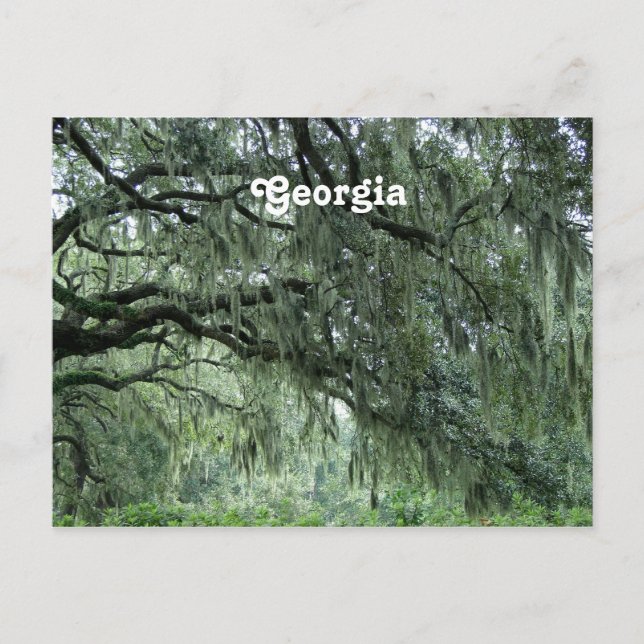 Georgia Trees Postcard (Front)