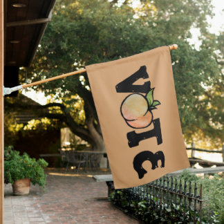Georgia VOTE peach House Flag