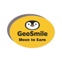 GeoSmile Car Magnets