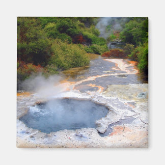 Geothermal Activity near Rotorua, New Zealand Magnet