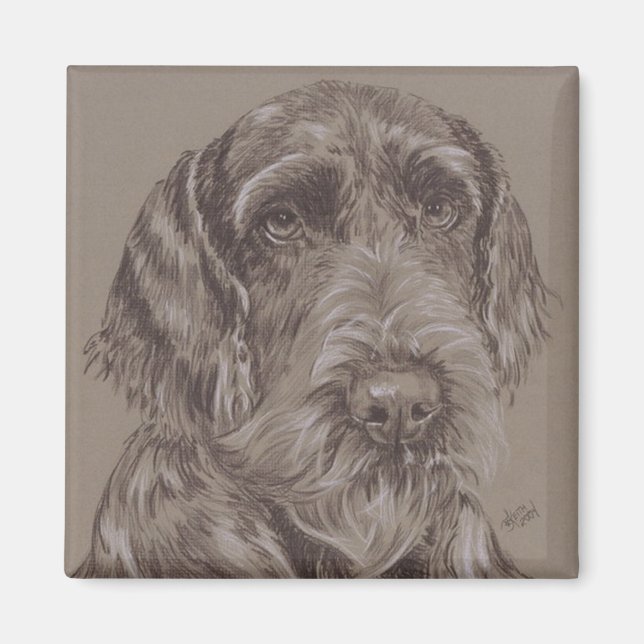 Ger. Wire-Haired Pointer Magnet (Front)