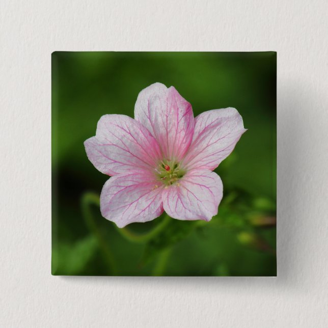 Geranium Button (Front)