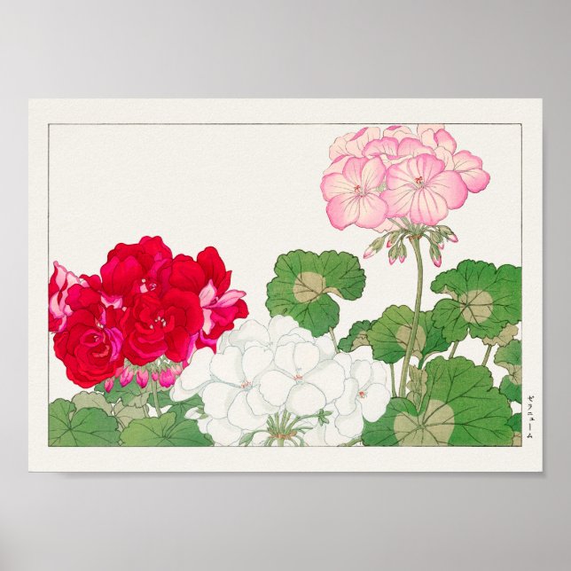 Geranium by Tanigami Konan Poster (Front)