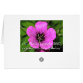 Geranium Card (Back Horizontal)