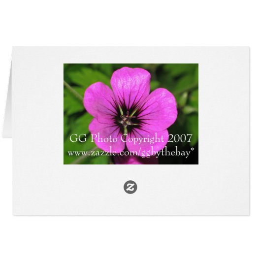 Geranium Card (Back Horizontal)