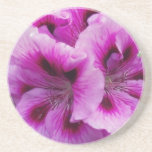 Geranium Care Coaster