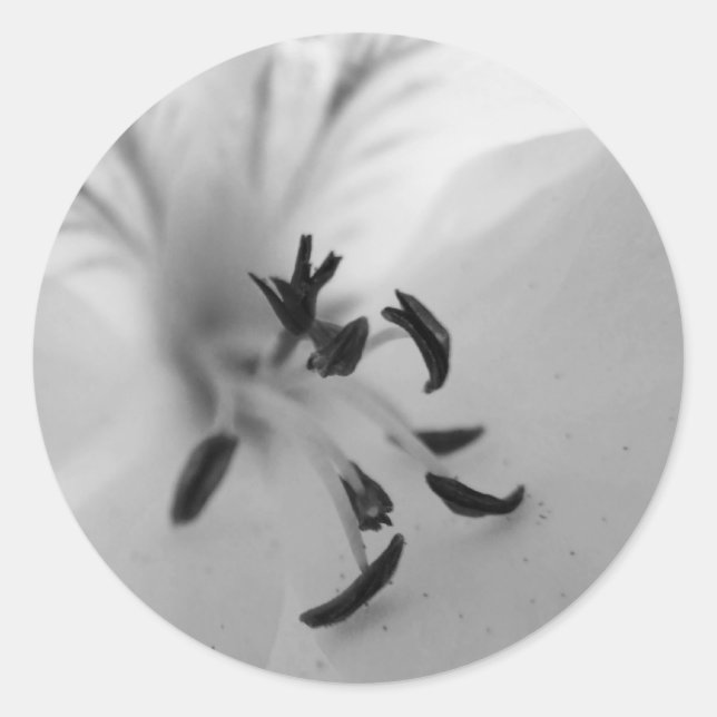 Geranium Center Stickers B&W (Front)