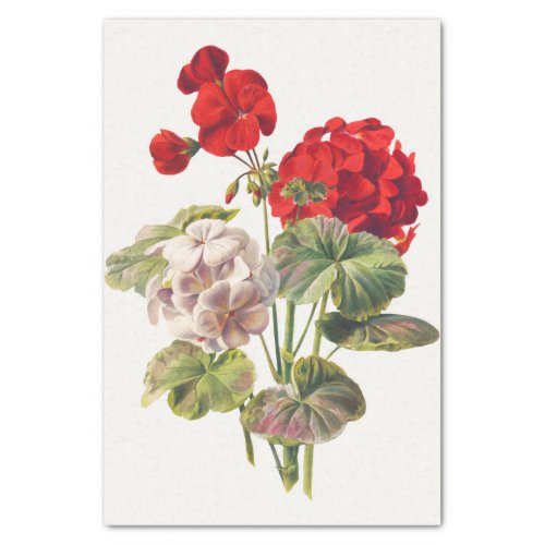 Geranium decoupage tissue paper