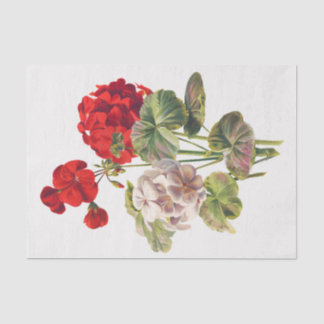 Geranium, decoupage tissue paper