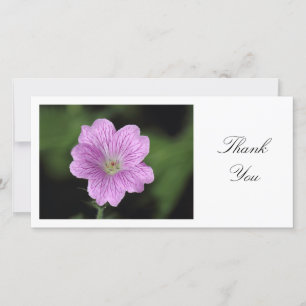 Geranium Endressii - Thank You