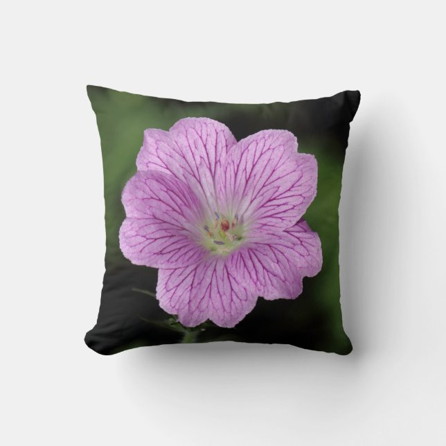 Geranium Endressii Throw Pillow (Front)