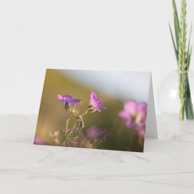 Geranium Flower Nature Photo Card (Front)