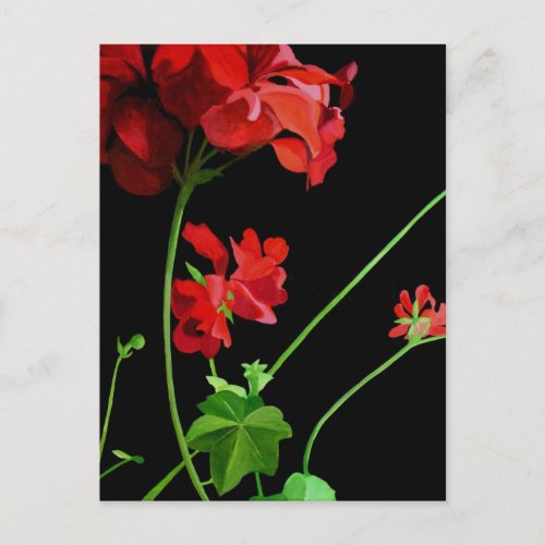 Geranium Postcard