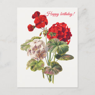 Geranium   postcard