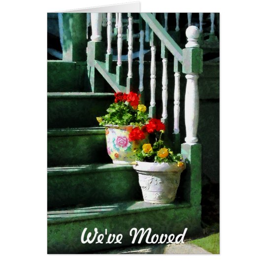 Geraniums and Pansies on Steps - We've Moved Card