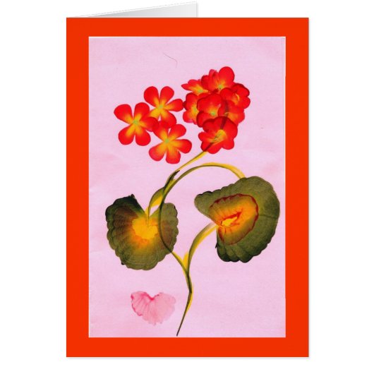 GERANIUMS Card (Front)